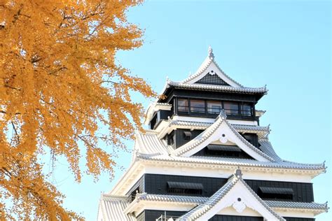 鹿児島 食べ放題 - 火山と海の恵みを味わい尽くす