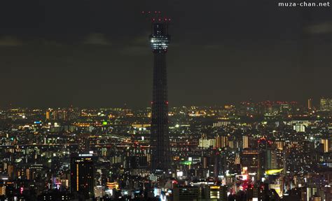 スカイツリー夜景：都市の光と影が織りなす幻想